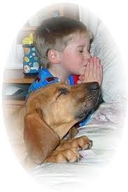 Dear Lord, please keep Buster safe from fundamentalists